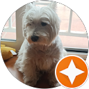 Yolanda Prados Jiménez profile picture