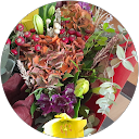 isabel bastos profile picture